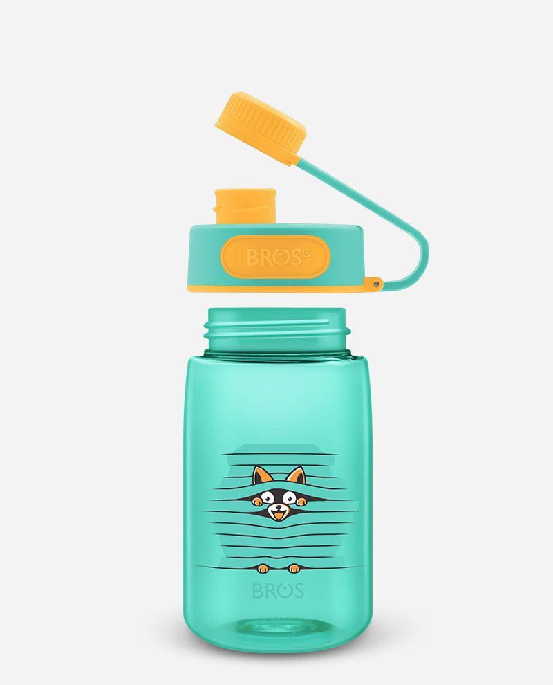 6 CHIHUAHUA HAPPY HOUR